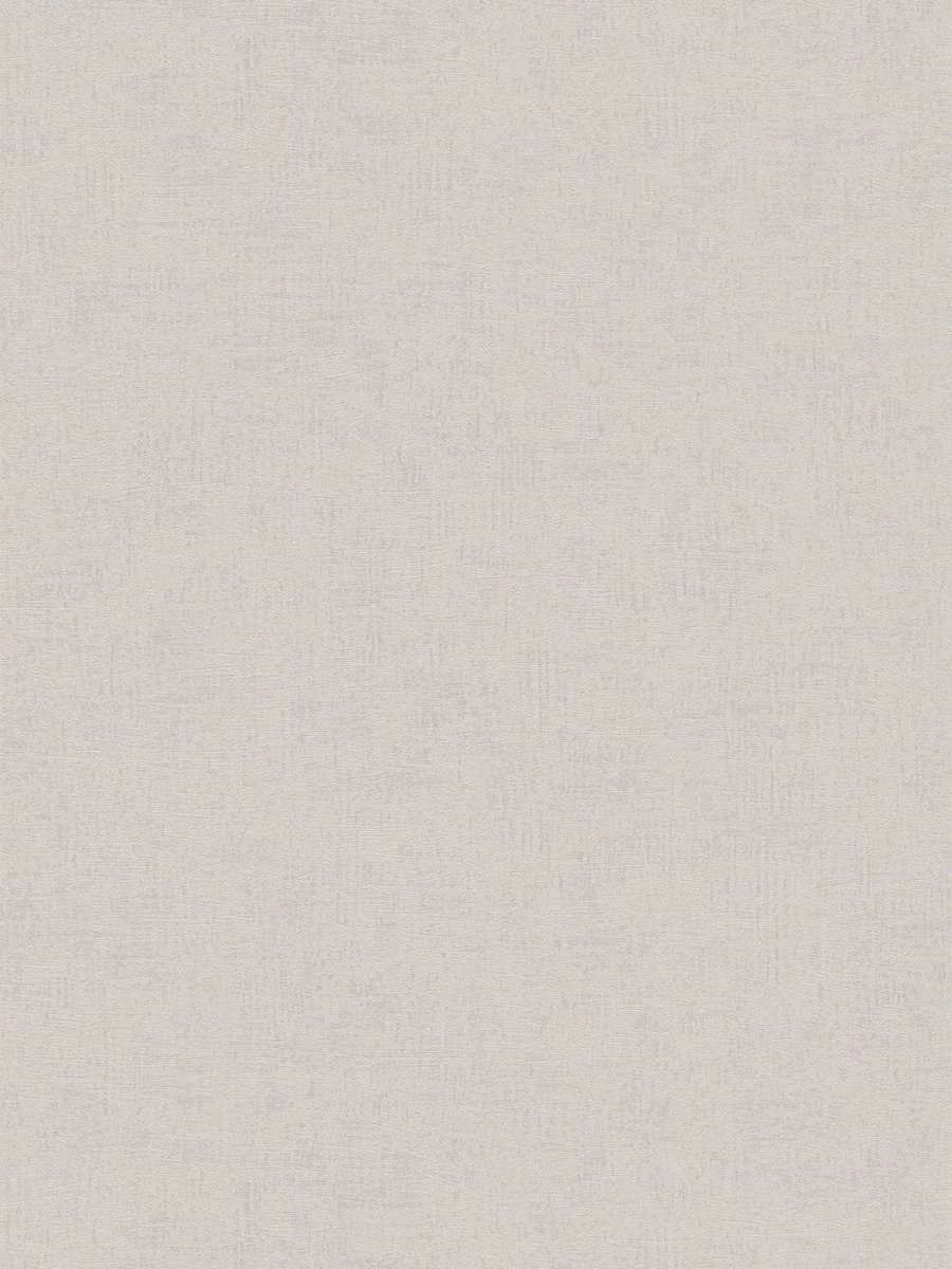 A.S. Création Titanium 3 38198-1
