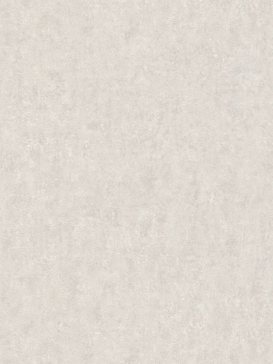 A.S. Création My Home штукатурка серо-бежевий 38693-4