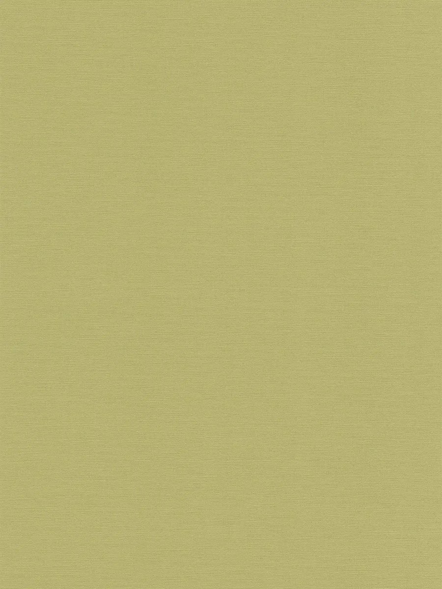 A.S. Création Drawn into Nature (2027) 39097-4