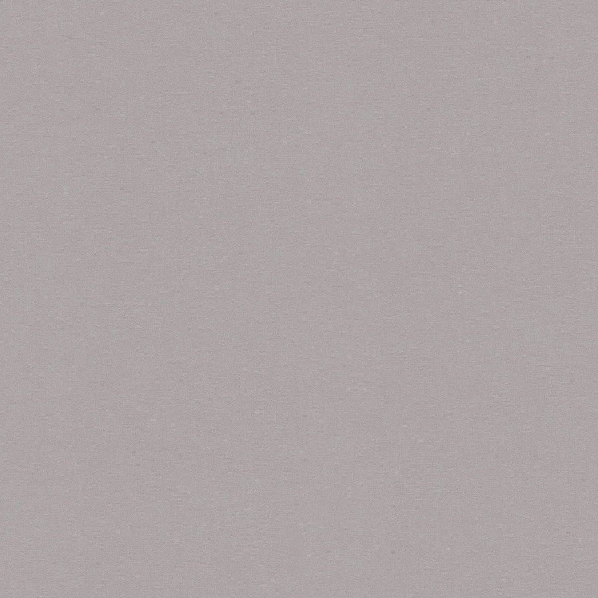 A.S. Création Attico 39265-3