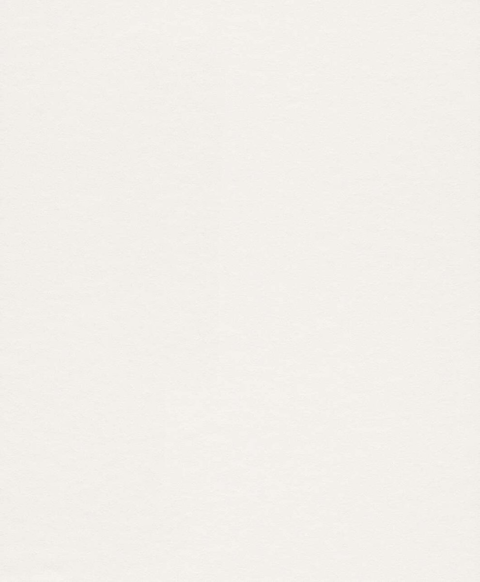 Rasch Wallton GrRll 177602 (120 г/м2)