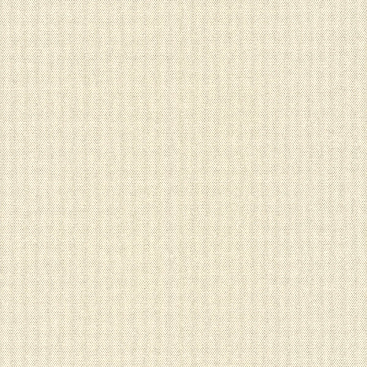 Rasch 960778-1,06 424058