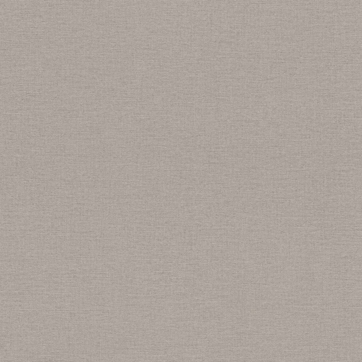 RASCH SALSA 0,53 x 10 m 452037