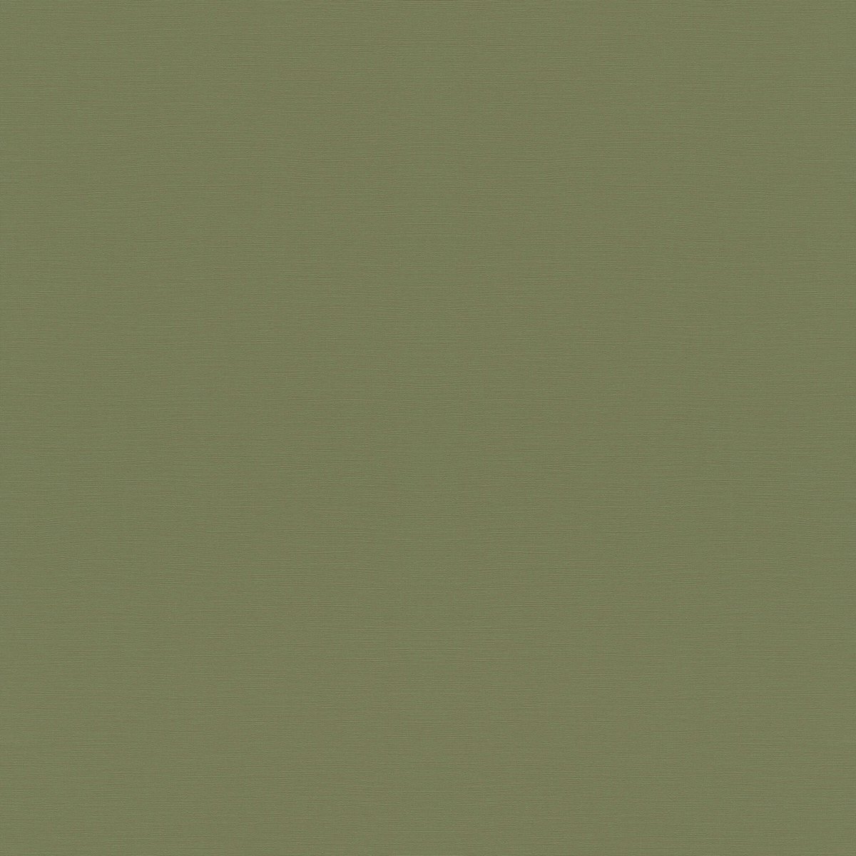 Rasch Tropical HouseI (2024) 687538
