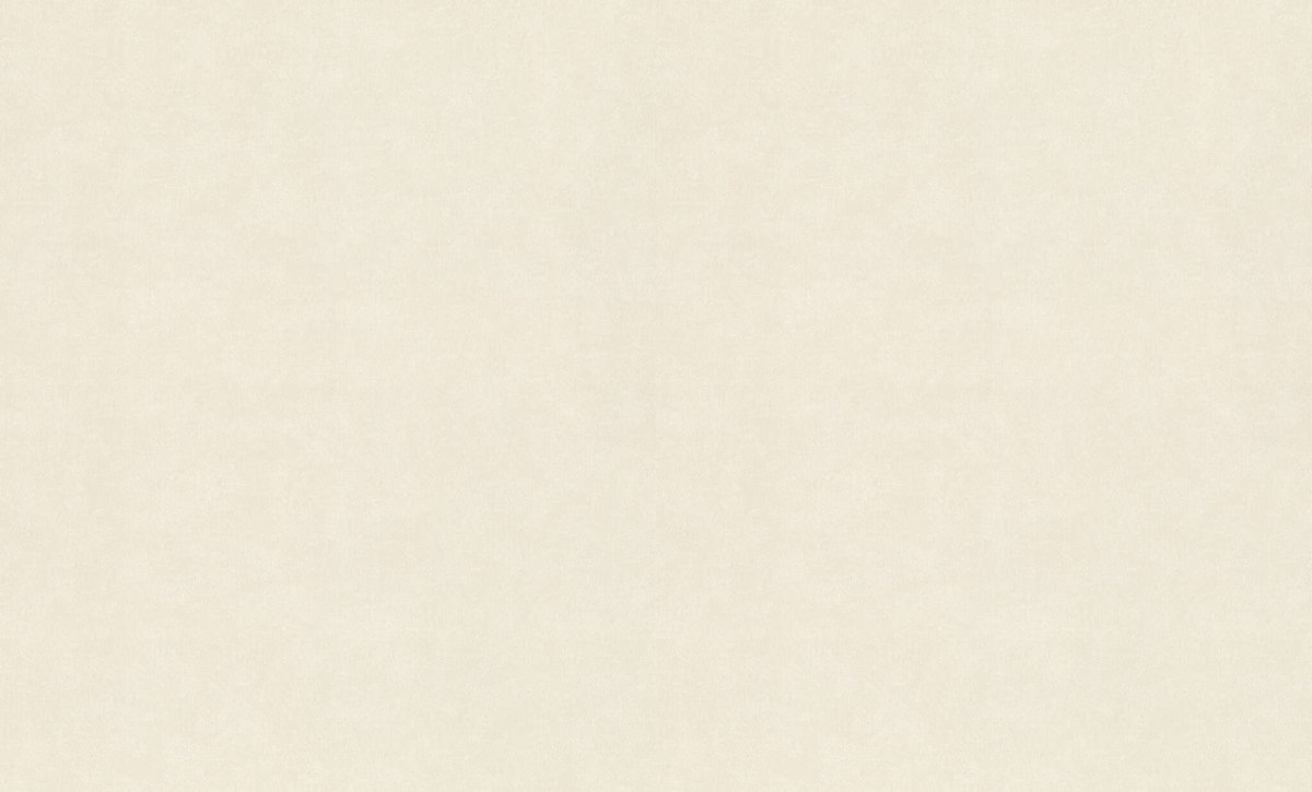 RASCH 910025