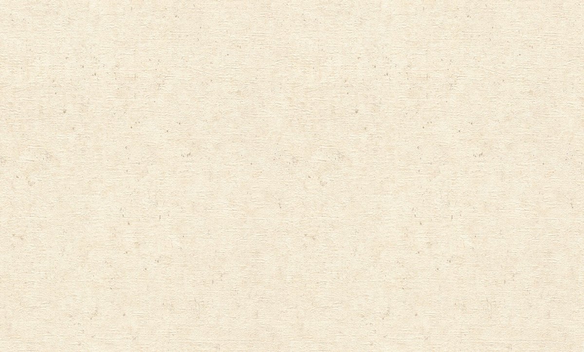 RASCH CONCRETE XL - 1,06 x 10m 974218 Lerua