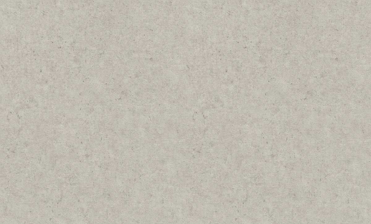 RASCH CONCRETE XL - 1,06 x 10m 974225 Lerua