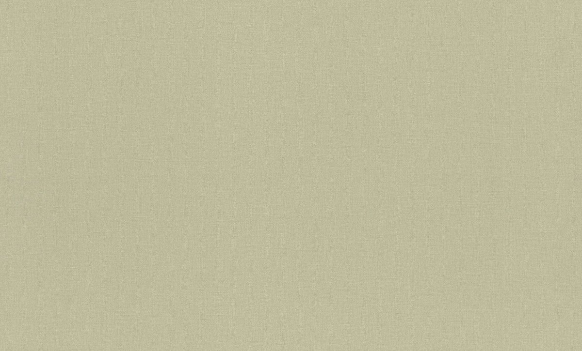 Шпалери Rasch Novella 983562 (W.Tex.IV)