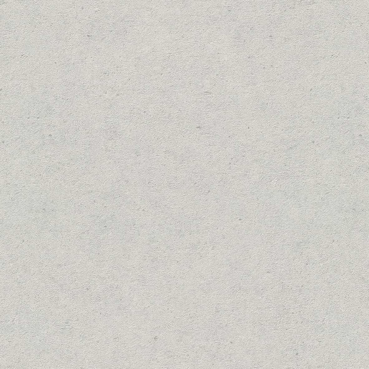 ERISMANN GMK №5 (Part 2)FASH.for WALLS- 1.06 x 10 m 12262-10
