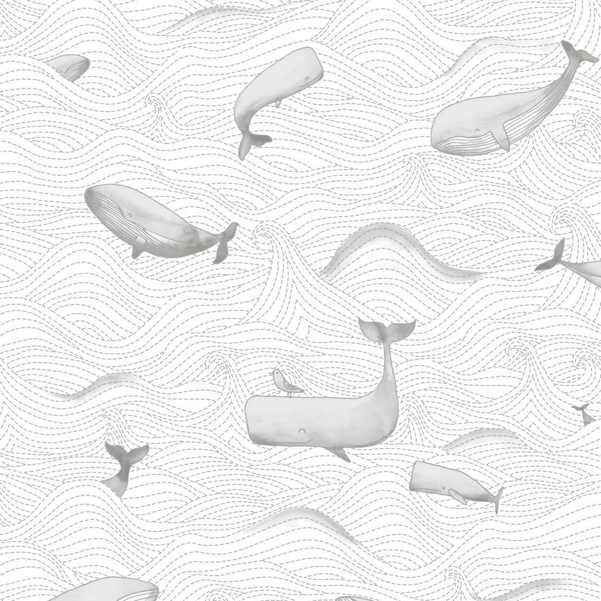 BN DOODLEEDO 0,53 x 10 m (дитячі) 220730