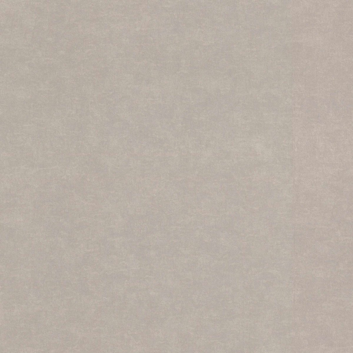 RASCH 910056