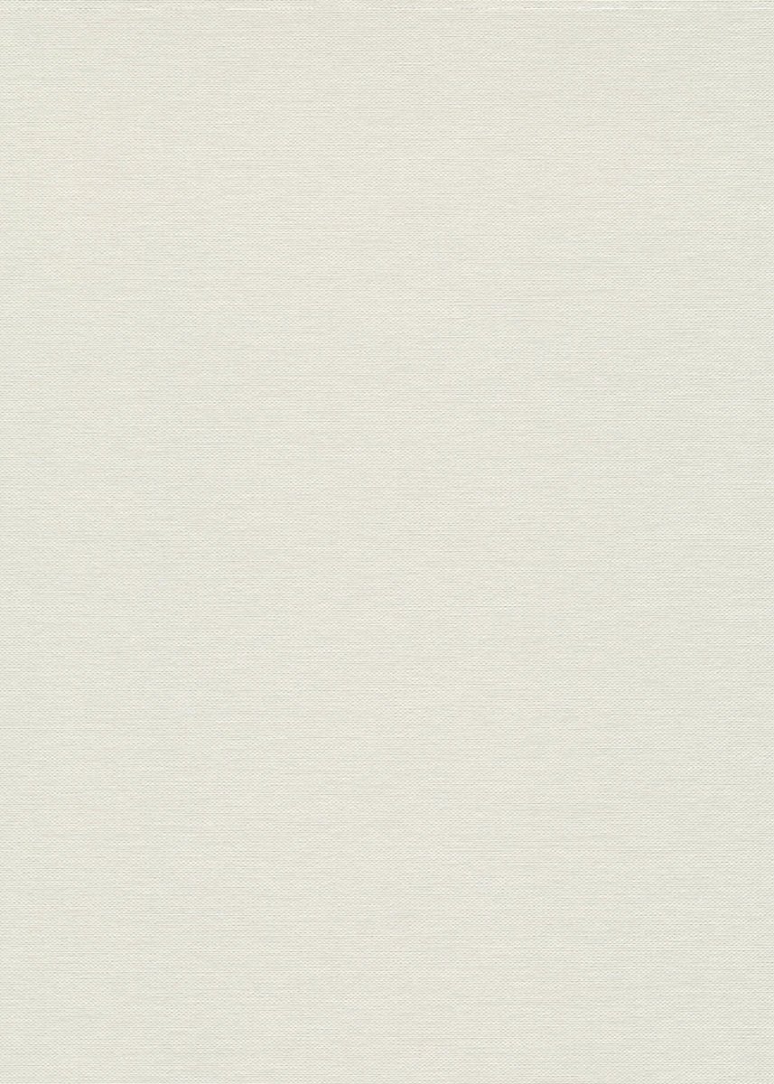Erismann Fashion for Wolls 5 ( 1.06) 12257-26
