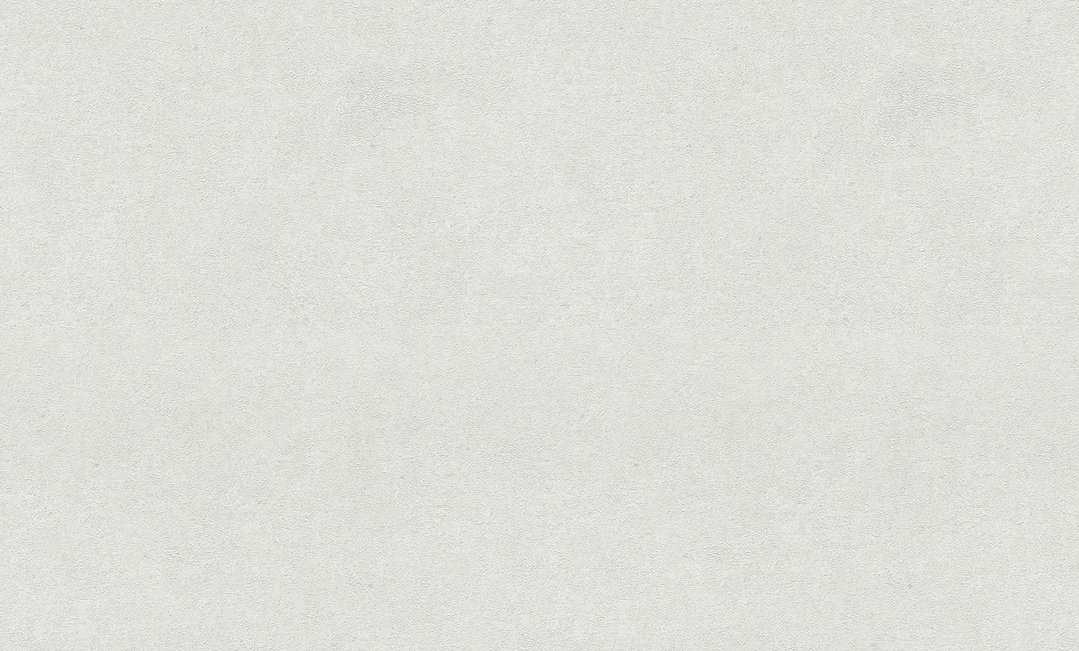 Erismann Fashion for Wolls 5 ( 1.06) 12262-01
