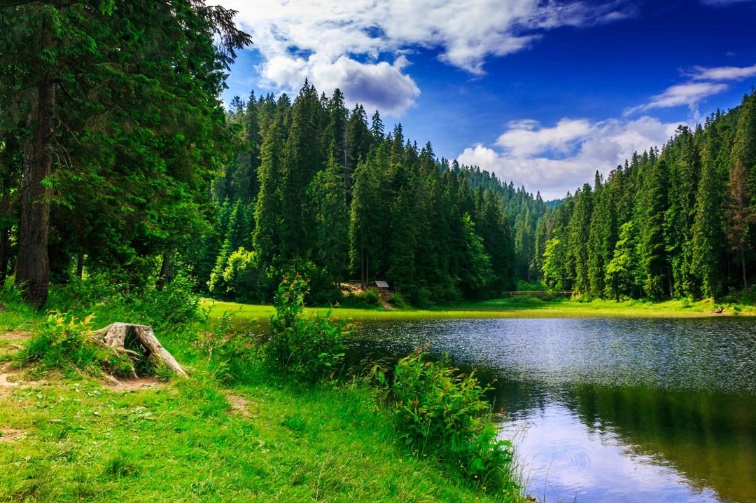 Sirpi Murogro Nature 3 20642
