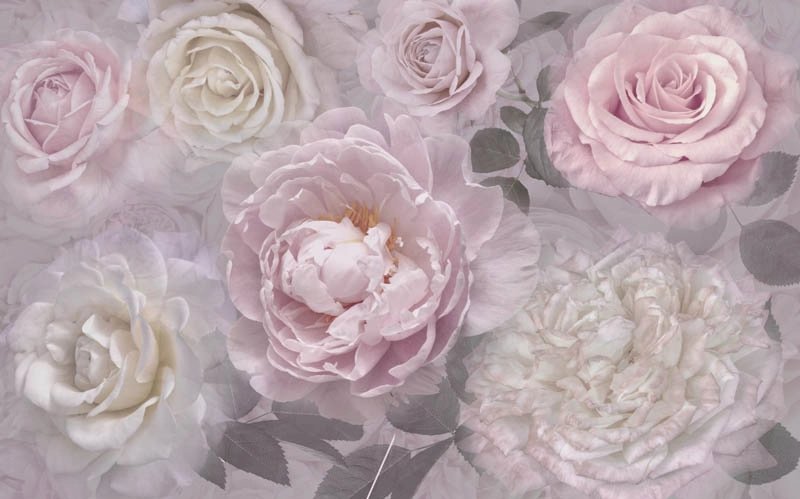 Emiliana Blumarine 24034