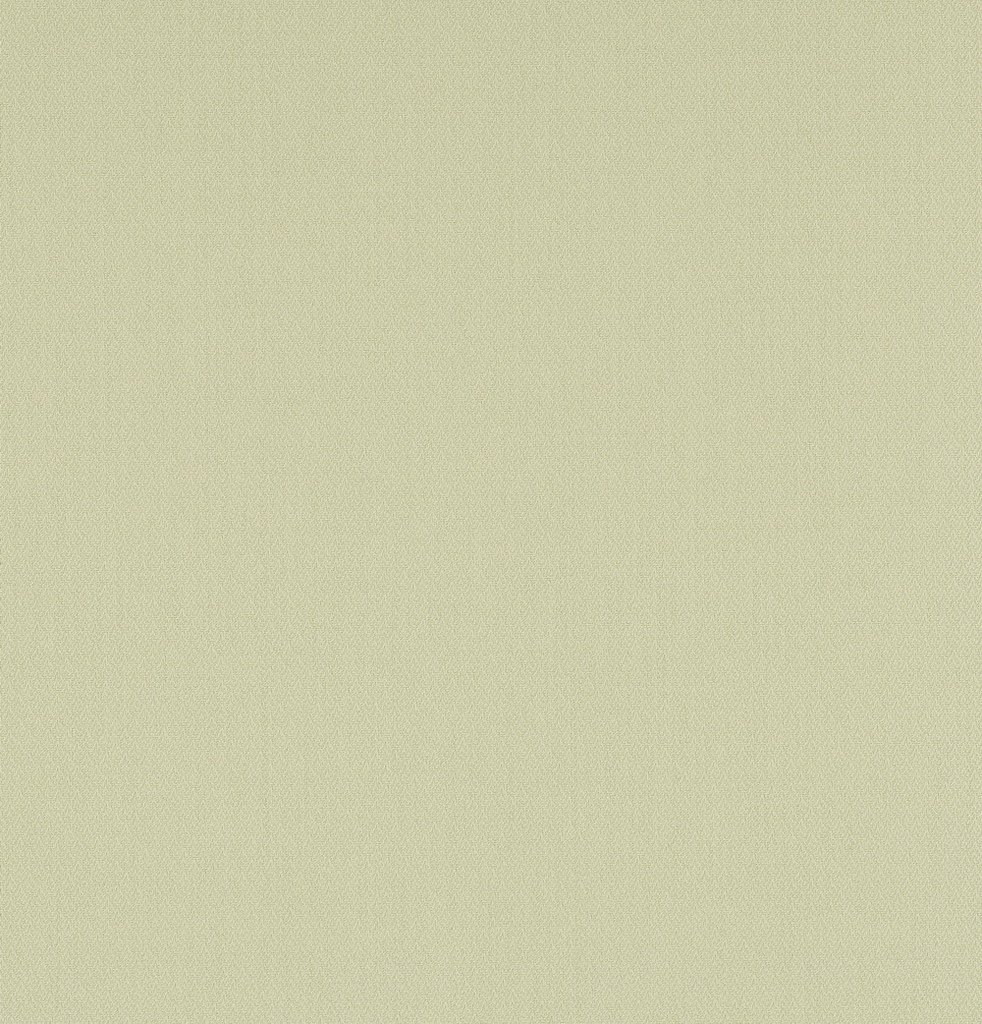 LIMONTA ORNAMENTA V - 0.53 x 10 m 75204