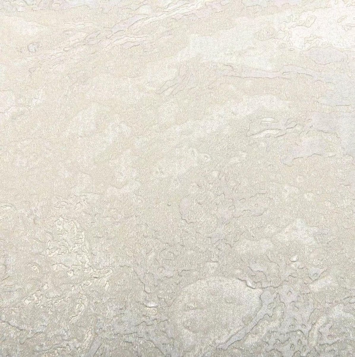 Emiliana Forte dei Marmi 2 83731