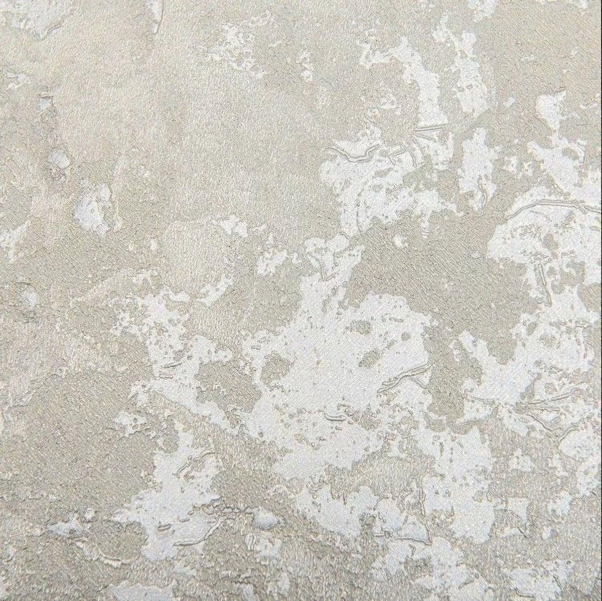 Emiliana Forte dei Marmi 2 83739