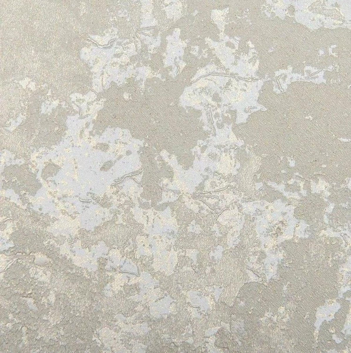 Emiliana Forte dei Marmi 2 83740