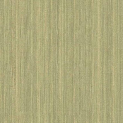 Parato Fibra (2019) 9049
