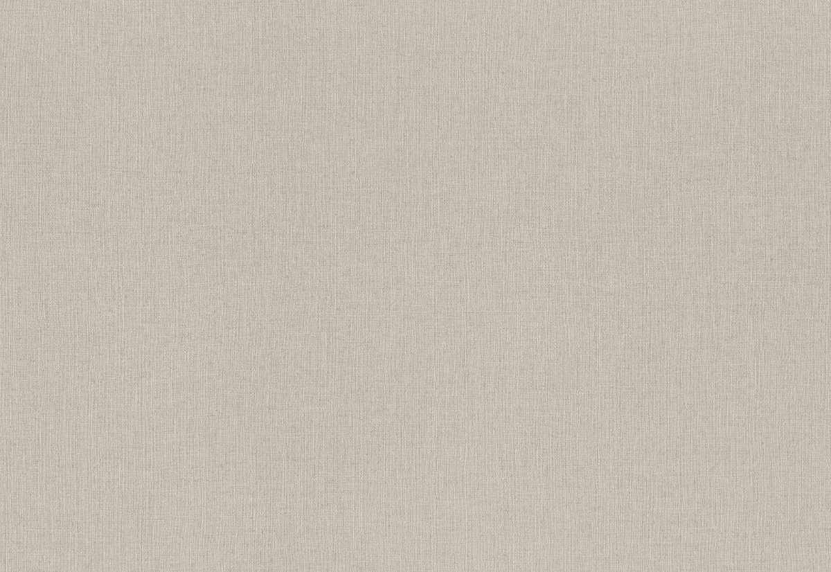 RASCH TENDENCIA - 1,06 x 10m 975505 Lerua