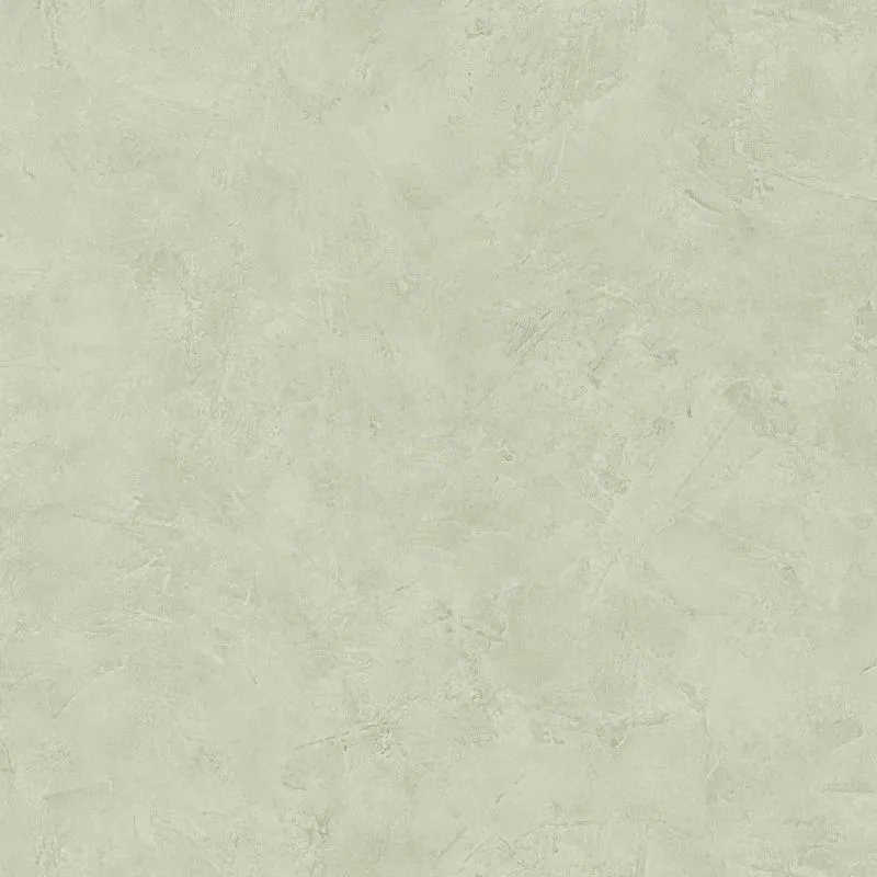 Texdecor Patine штукатурка аспарагус PAI100227440