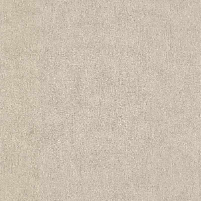 CONTEPORAIN 11130917