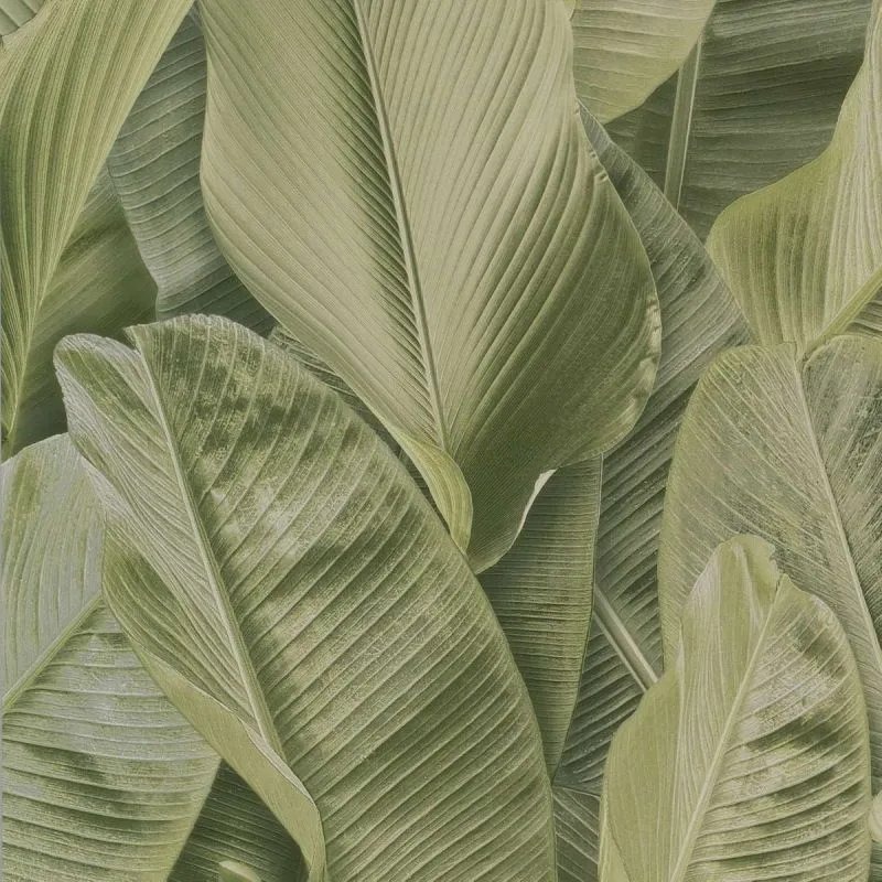 LIMONTA LYMPHAE 0,53 x 10 m 17803