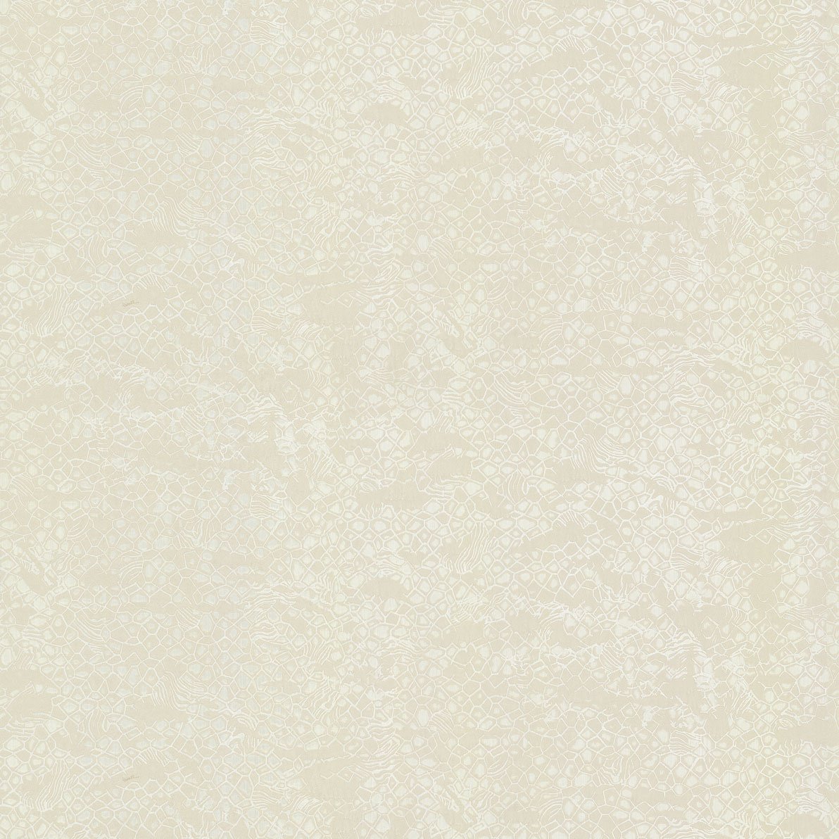 Шпалери Emiliana Roberto Cavalli 8 19037