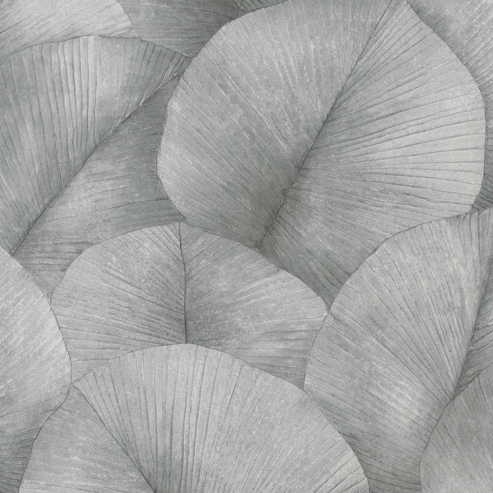 Marburg Kumano 34558