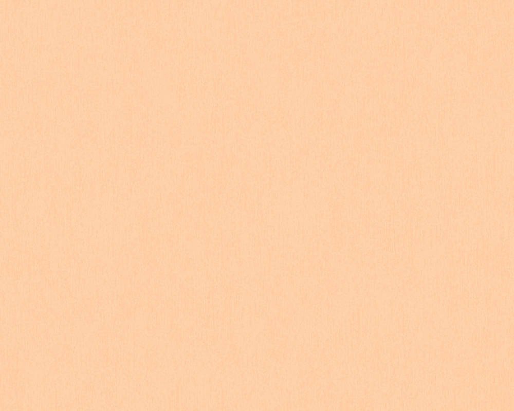 A.S. Création Bjorn (2019) 3531-22