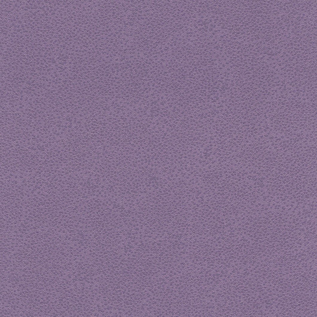 Rasch MIRACLE 421958 Розпродаж