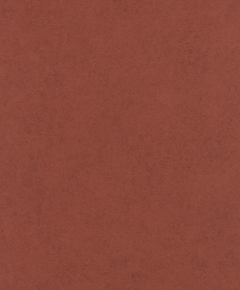 Rasch Vincenza 467260
