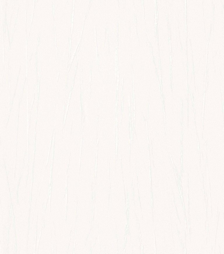 Rasch Passepartout 605907