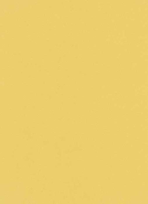 Erismann Instawalls 6342-03