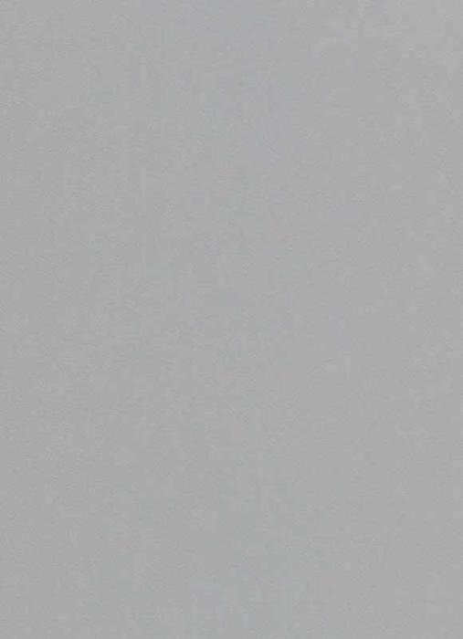 Erismann Instawalls 6342-10