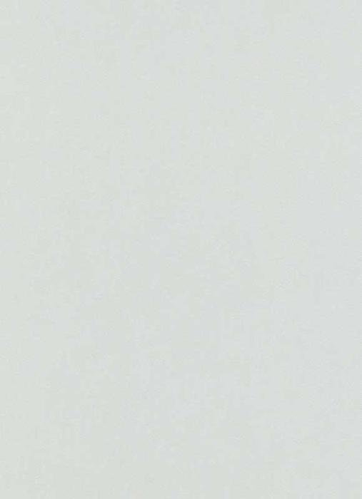 Erismann Instawalls 6342-31