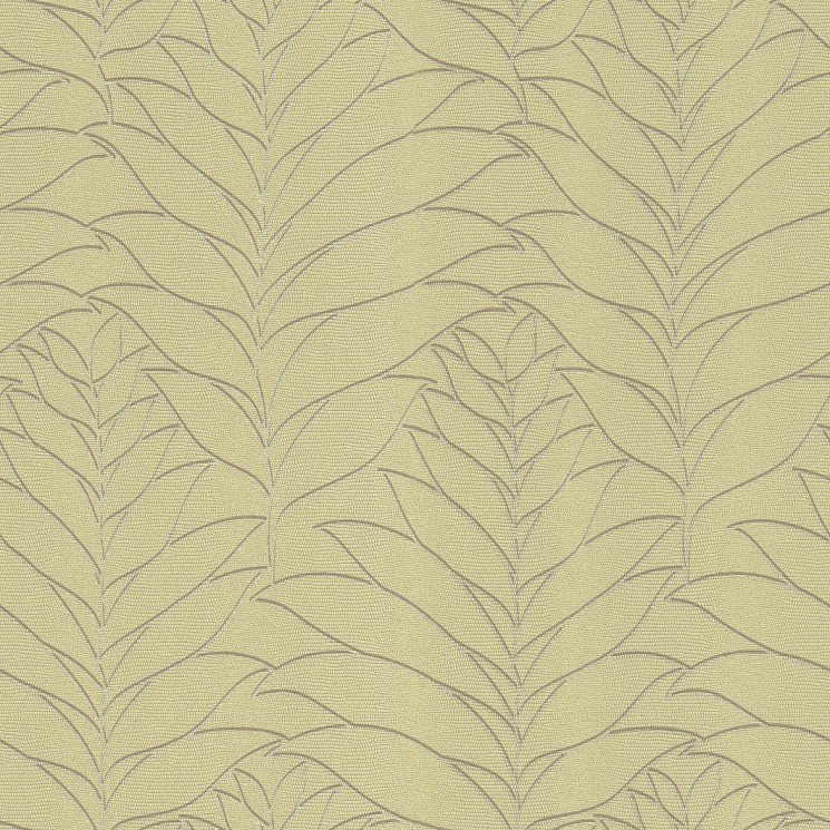 Rasch Natural instinct 781366