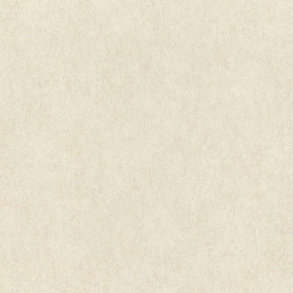 RASCH RAYMOND 1,06 x 10 m 957334