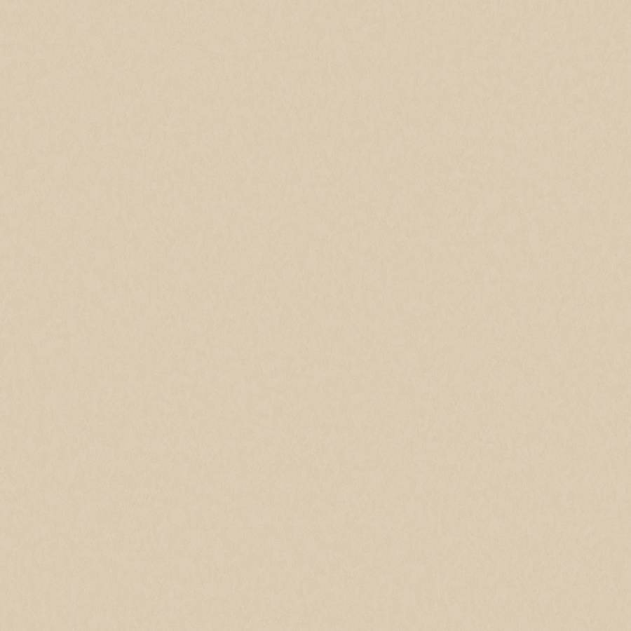 Marburg Trace 98828