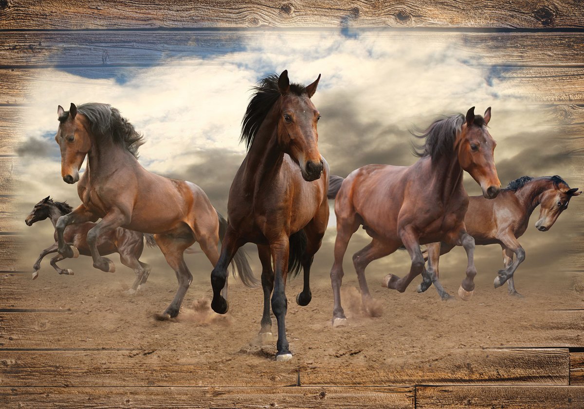 DECOART Флізелін 254 x 184 см 10083 - V4