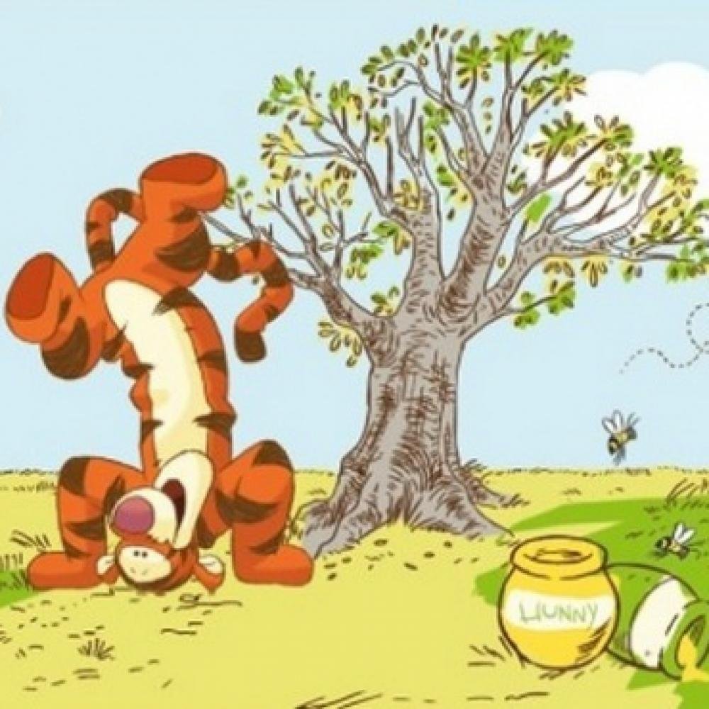 Шпалери Graham & Brown Бордюр Kids&home 5 42424