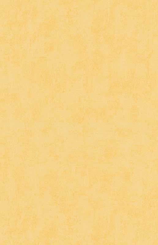 Erismann Prime time 2 6340-03